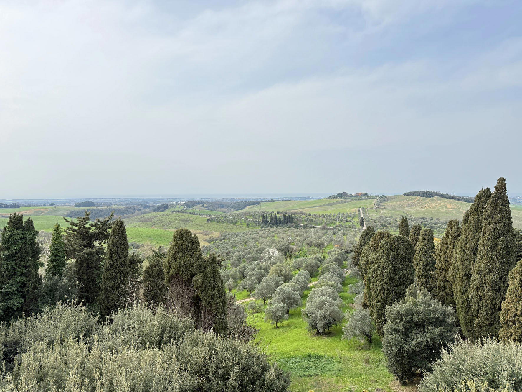 Castello del Terriccio winery in Castellina Marittima