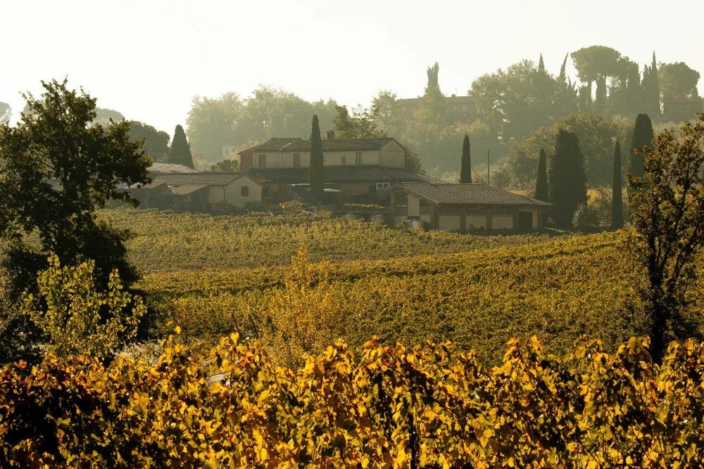 Boscarelli, Montepulciano, Italy