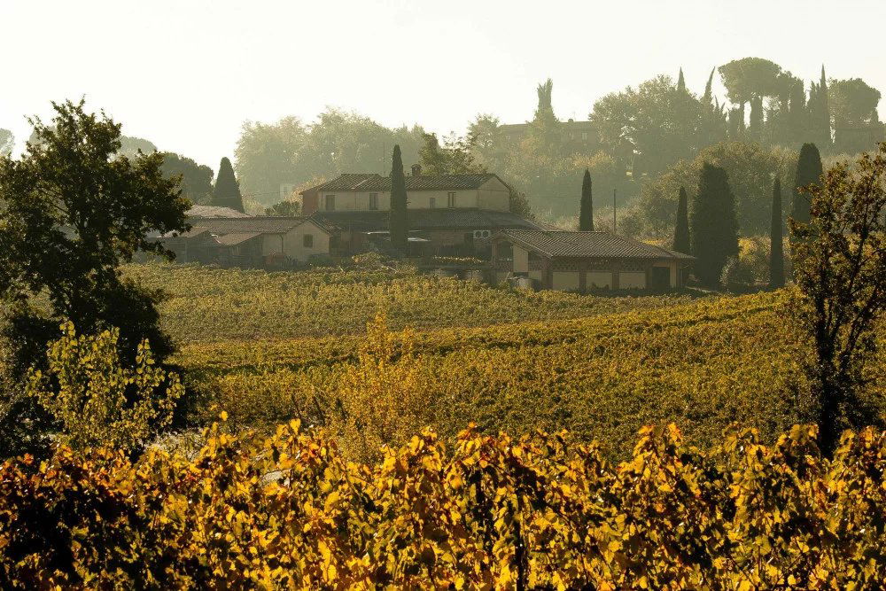 Boscarelli, Winery in Montepulciano