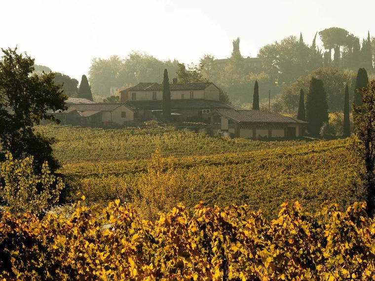 Boscarelli, Montepulciano, Italy