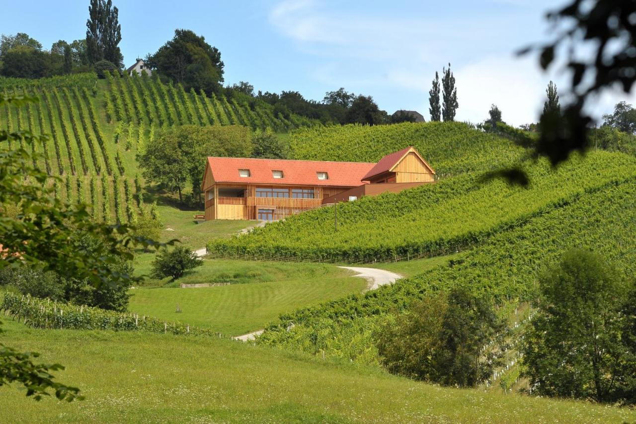 Vino Valdhuber winery in Kungota, Slovenia