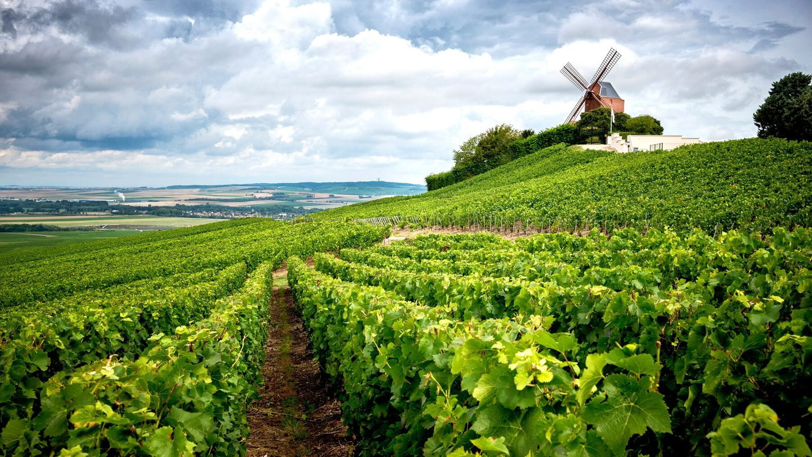 Champagne Dom Pérignon, Épernay, France