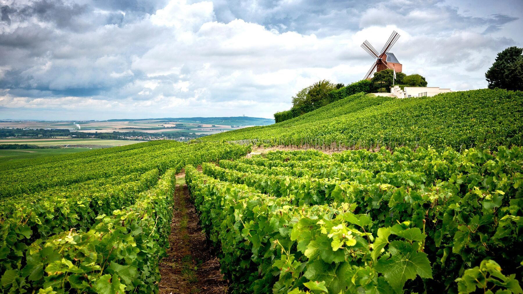 Champagne Dom Pérignon winery in Épernay, France