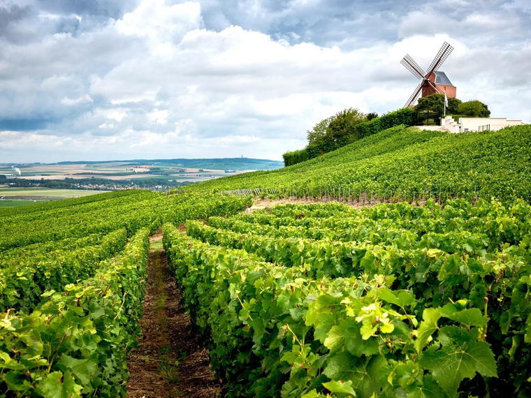 Champagne Dom Pérignon, Épernay, France