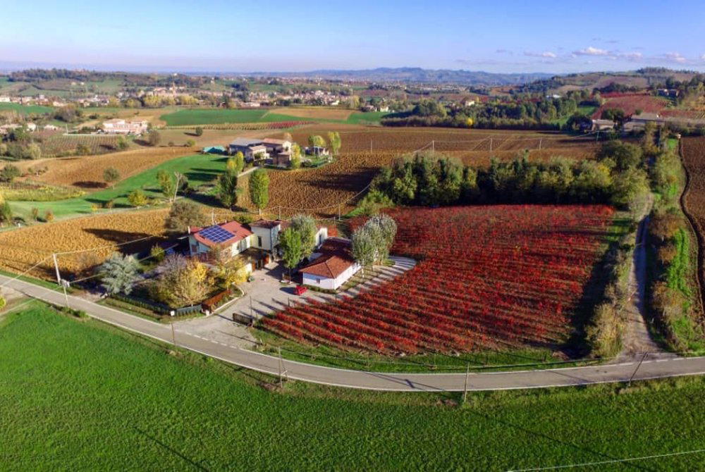 Fattoria Moretto winery in Castelvetro di Modena