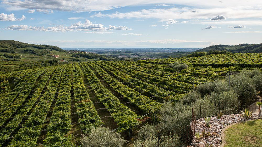 Azienda Agricola Novaia, Winery in Marano di Valpolicella
