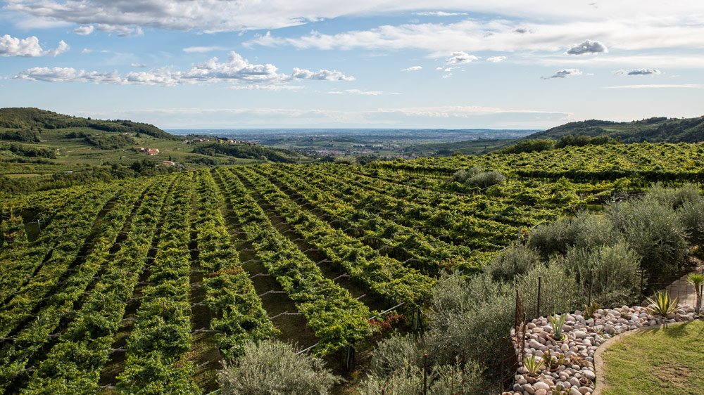 Azienda Agricola Novaia