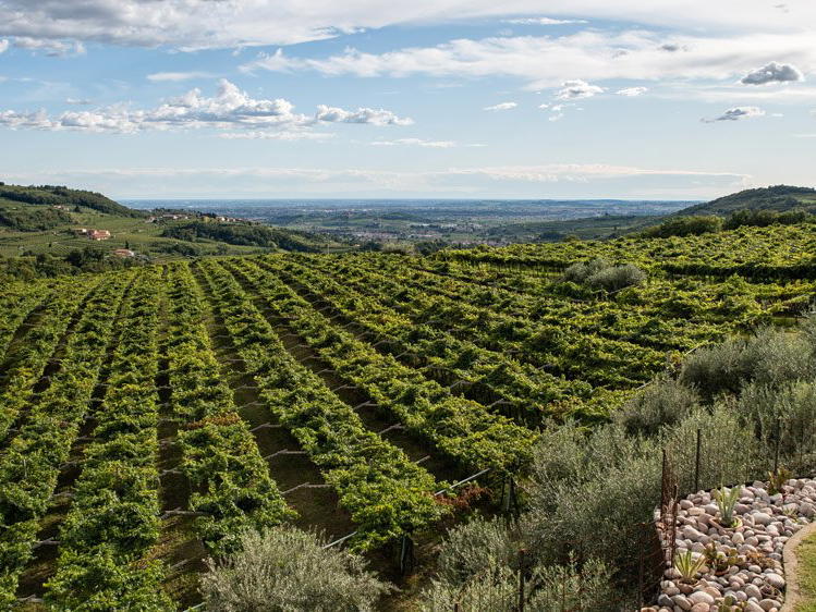Azienda Agricola Novaia, Marano di Valpolicella, Italy