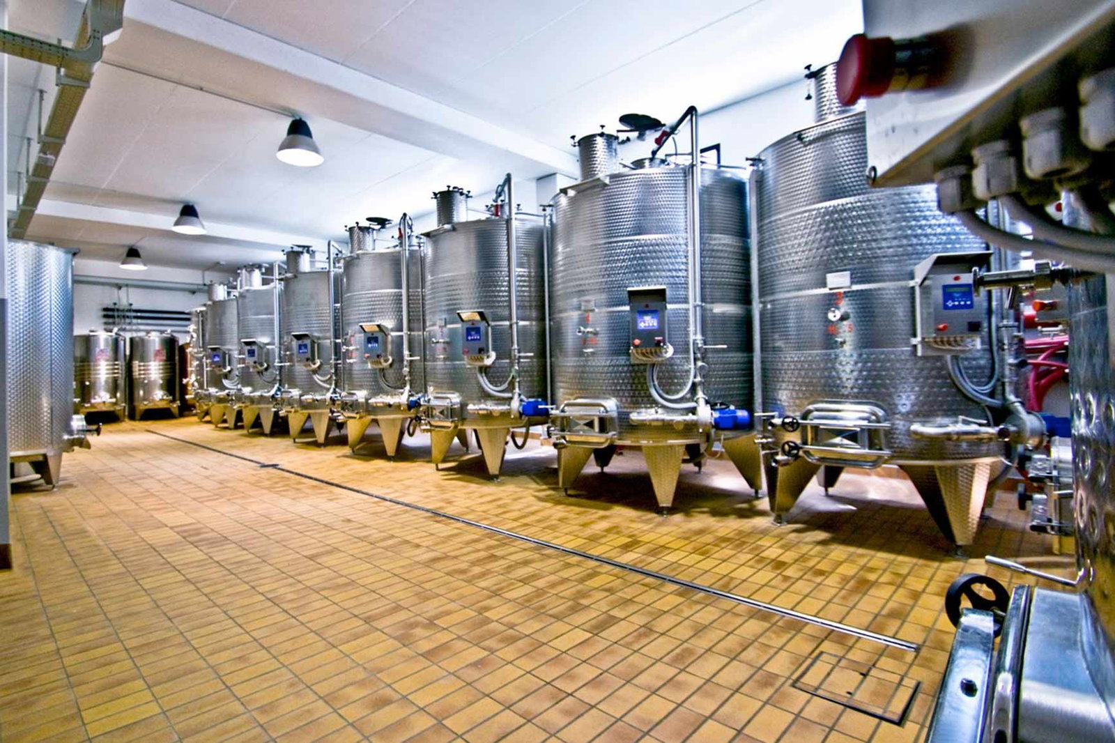 Cantina Gentili, Cetona, Italy