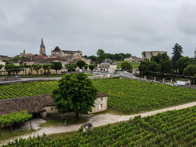 Clos Saint Julien, Saint-Émilion, France