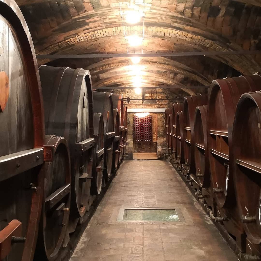Cantine de Biase, Winery in Castronuovo Di Sant Andrea