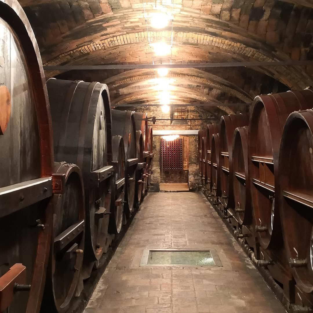 Cantine de Biase winery in Castronuovo Di Sant Andrea