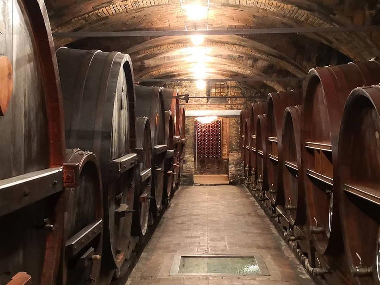 Cantine de Biase, Castronuovo Di Sant Andrea, Italy