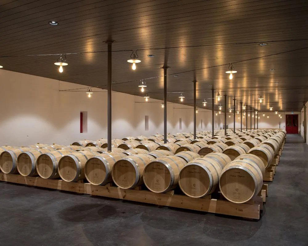 Château Duplessis winery in Moulis En Medoc