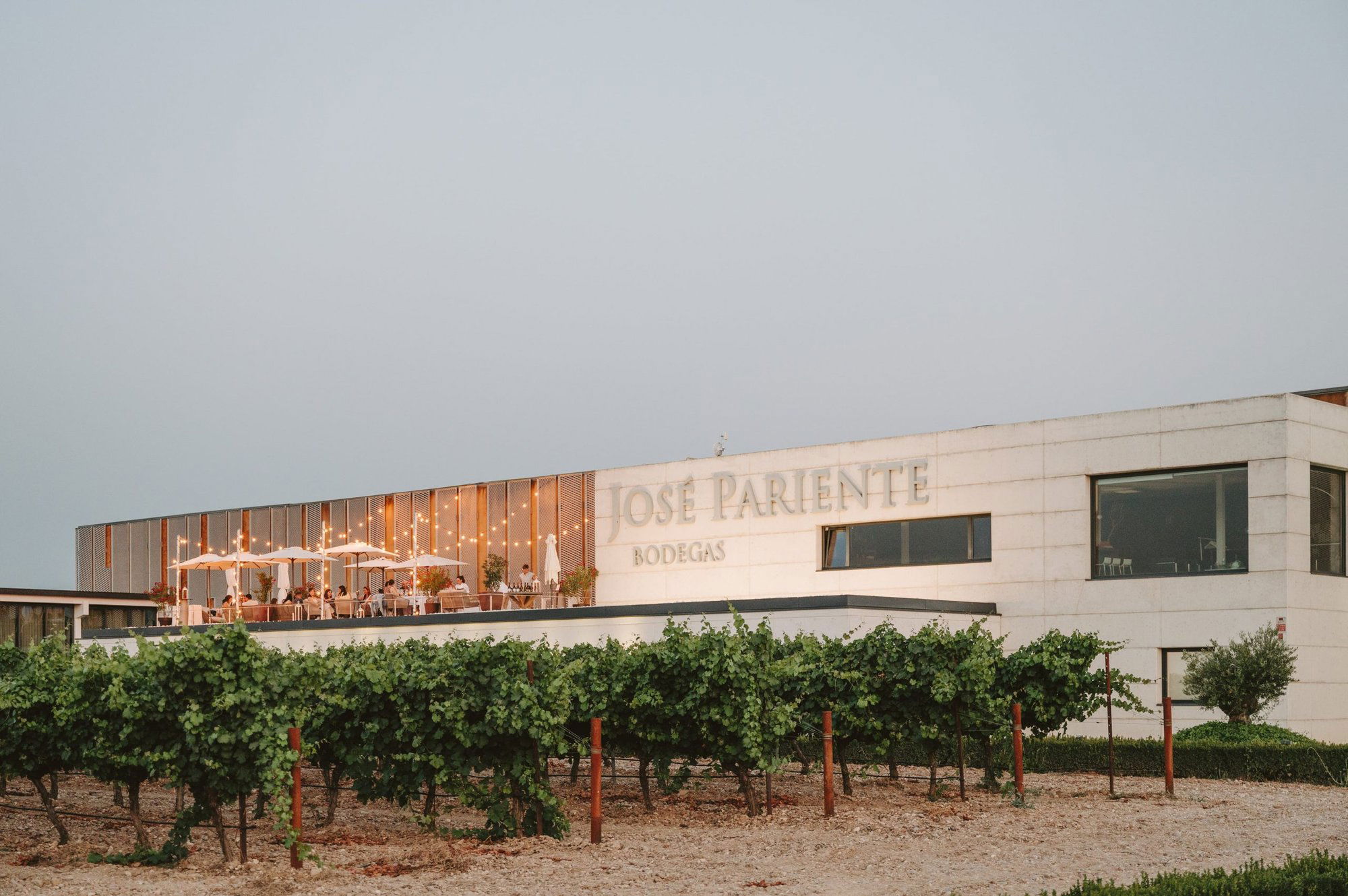 Bodegas José Pariente, Winery in La Seca
