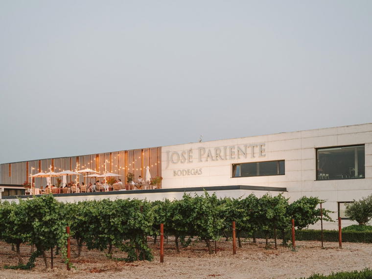 Bodegas José Pariente, La Seca, Spain