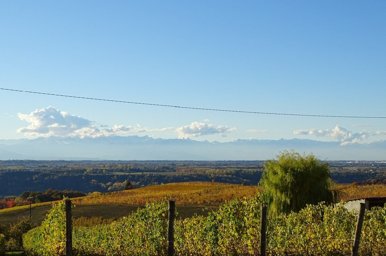 Azienda Agricola Valletti