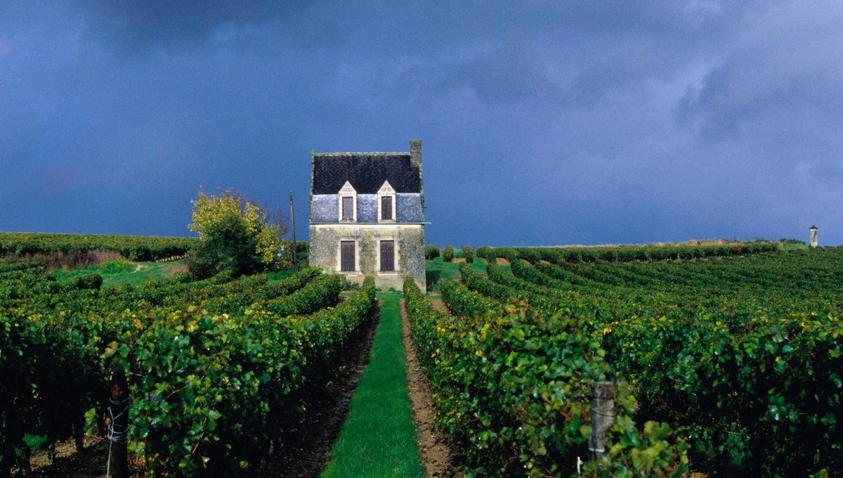 Domaine de la Taille aux Loups winery in Montlouis-sur-Loire