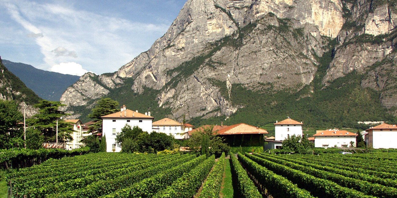 Azienda Agricola Brunetti, Mezzolombardo, Italy