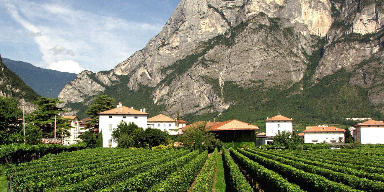 Azienda Agricola Brunetti, Winery in Mezzolombardo