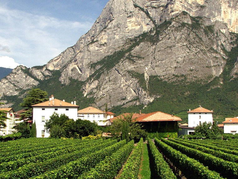 Azienda Agricola Brunetti, Mezzolombardo, Italy
