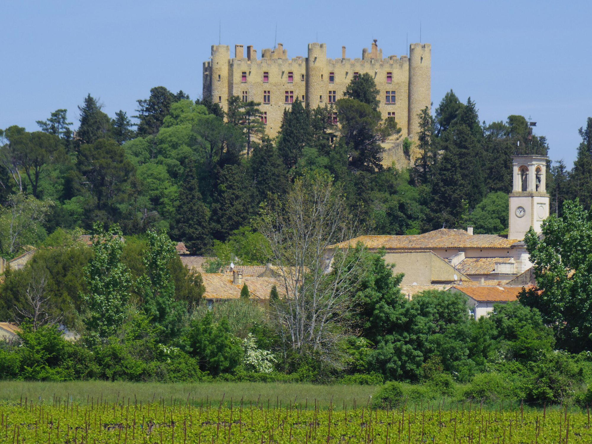 Château de Montfaucon winery in Montfaucon, France