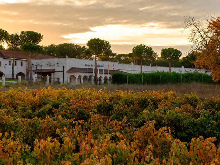 Bodegas Hnos. Pérez Pascuas, Pedrosa De Duero Burgos, Spain