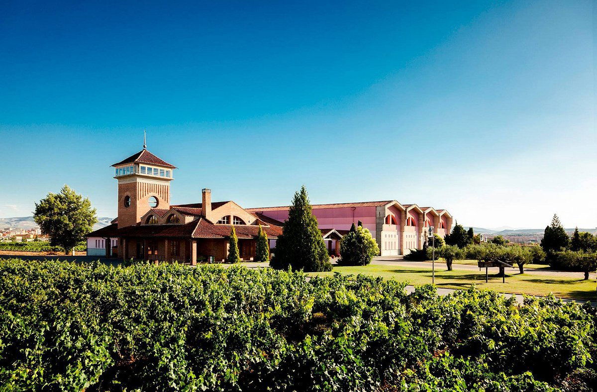 Bodegas Viña Ijalba, Winery in Logroño
