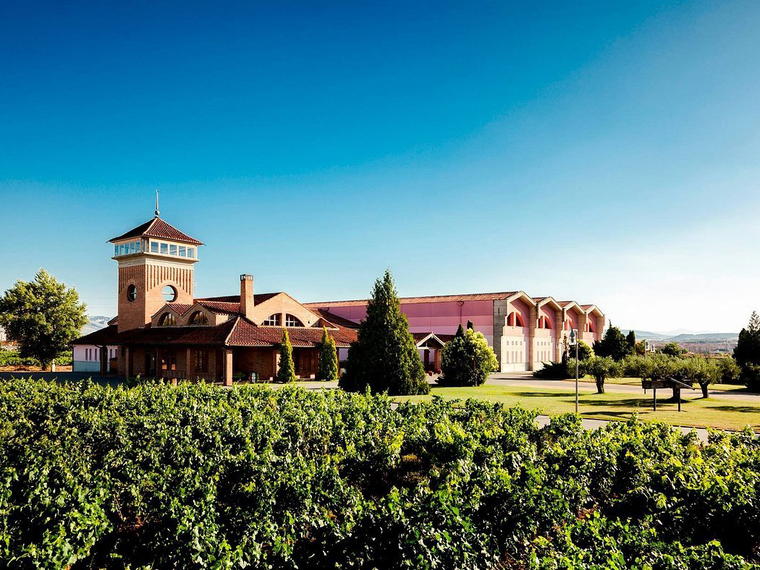 Bodegas Viña Ijalba, Logroño, Spain