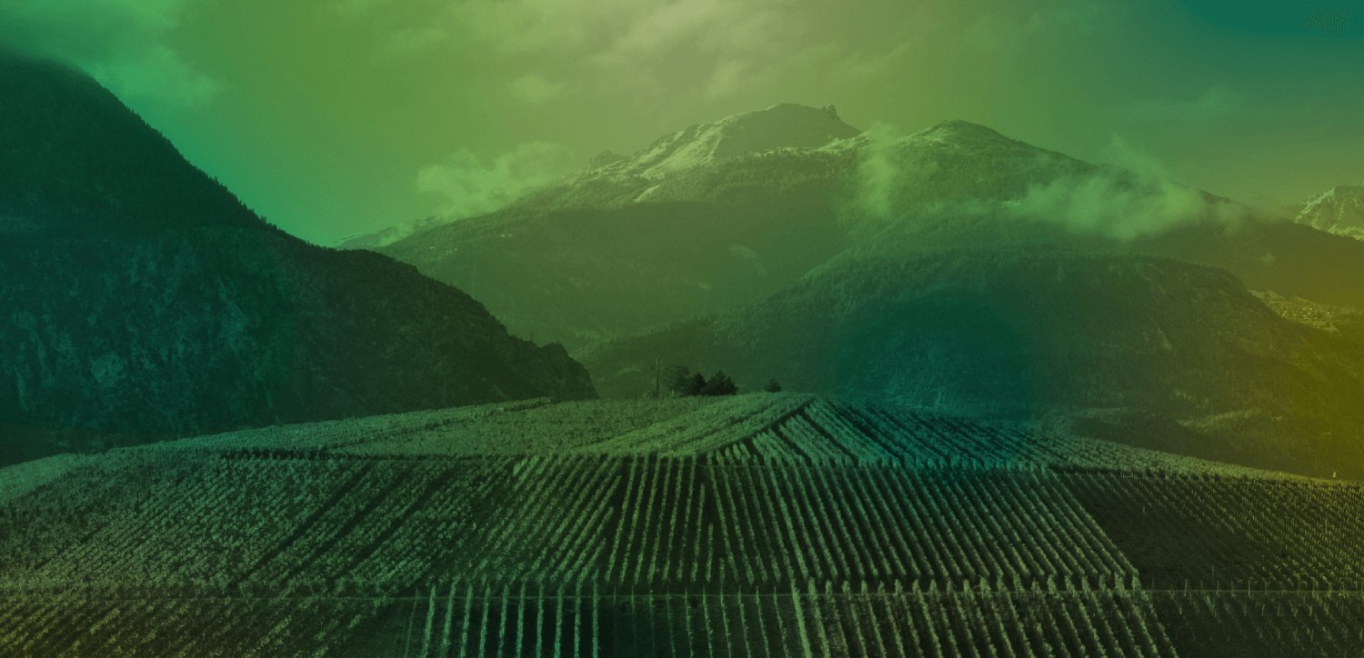 Artisan Vigneron, Leytron, Switzerland