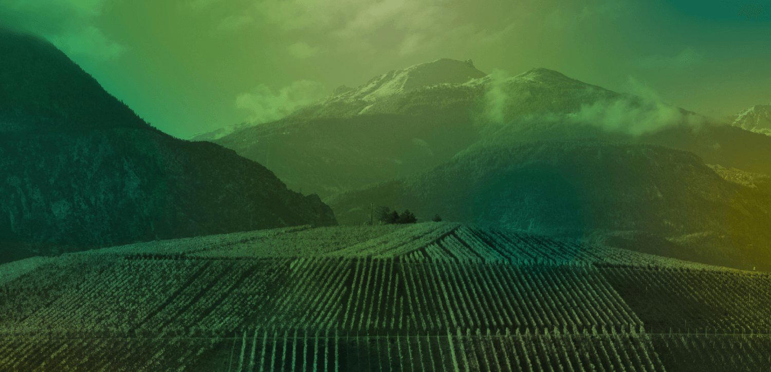 Artisan Vigneron winery in Leytron
