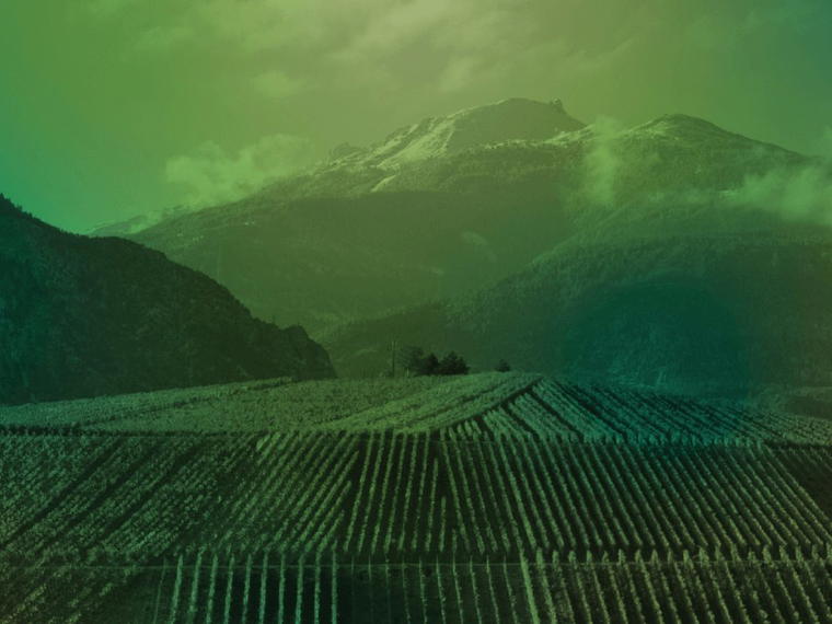 Artisan Vigneron, Leytron, Switzerland