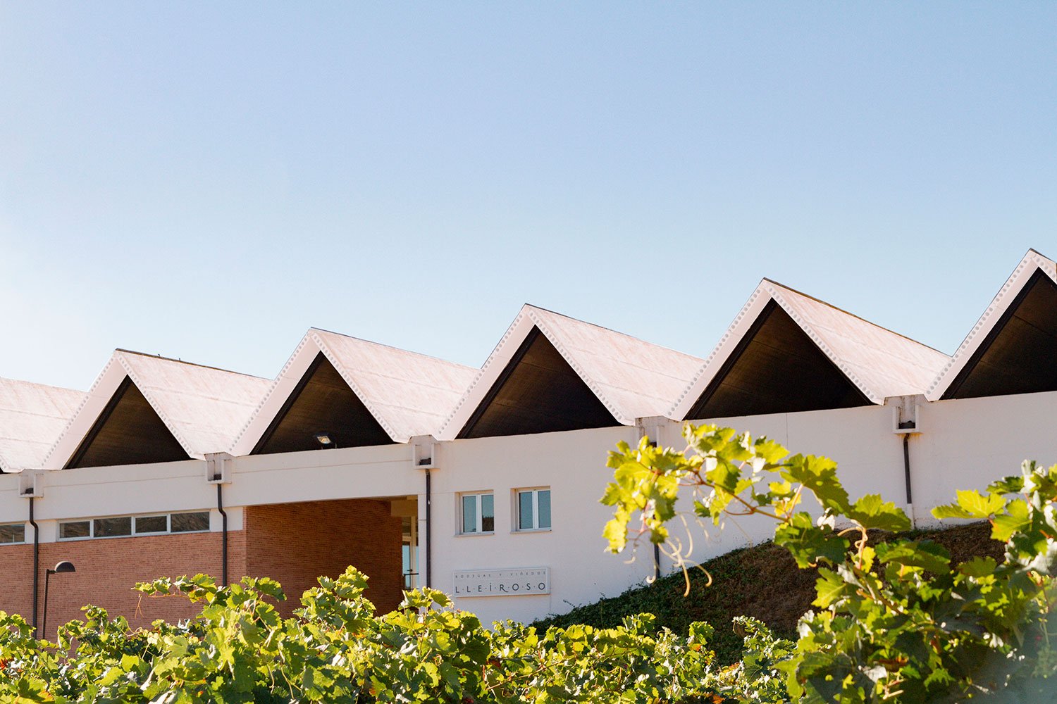 Bodegas y Viñedos Lleiroso, Winery in Valbuena de Duero