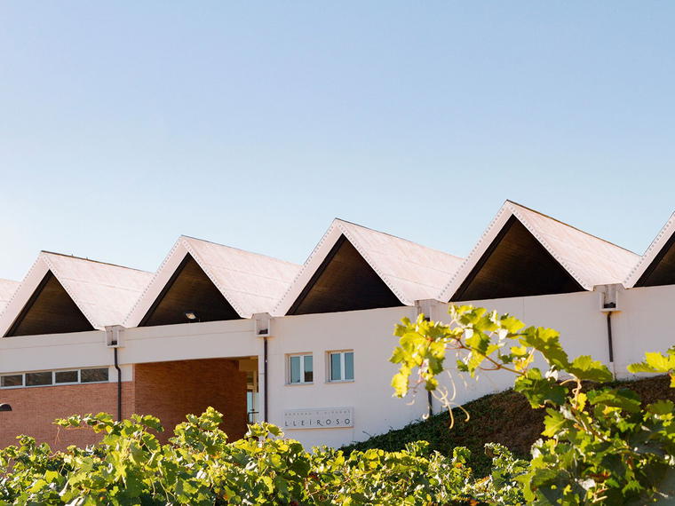Bodegas y Viñedos Lleiroso, Valbuena de Duero, Spain