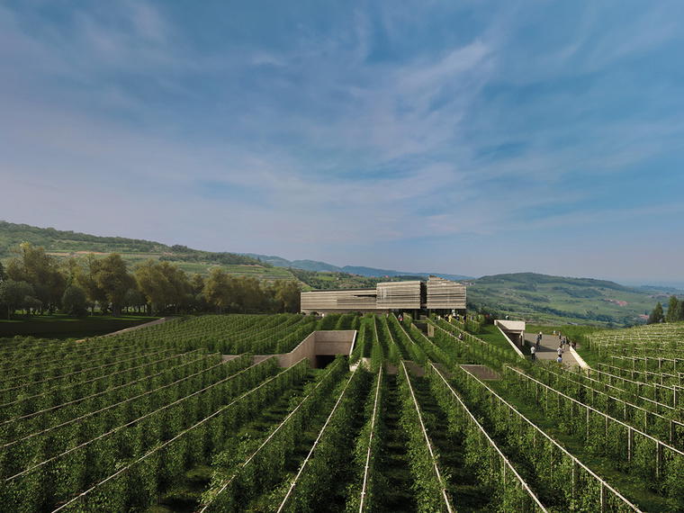 Masi, Sant'Ambrogio di Valpolicella, Italy