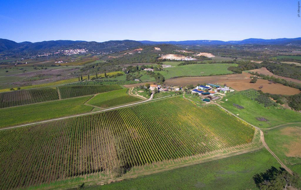 Azienda Agricola Russo winery in Suvereto
