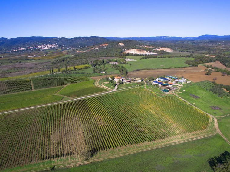 Azienda Agricola Russo, Suvereto, Italy