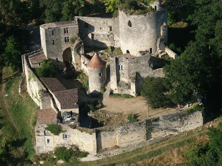 Chateau Tanesse, Langoiran, France