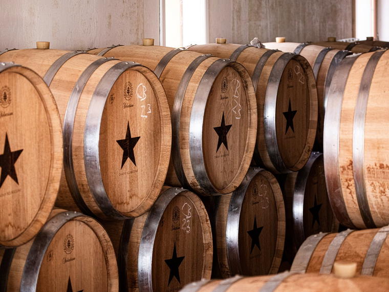 Kalum Winery, Stege, Denmark