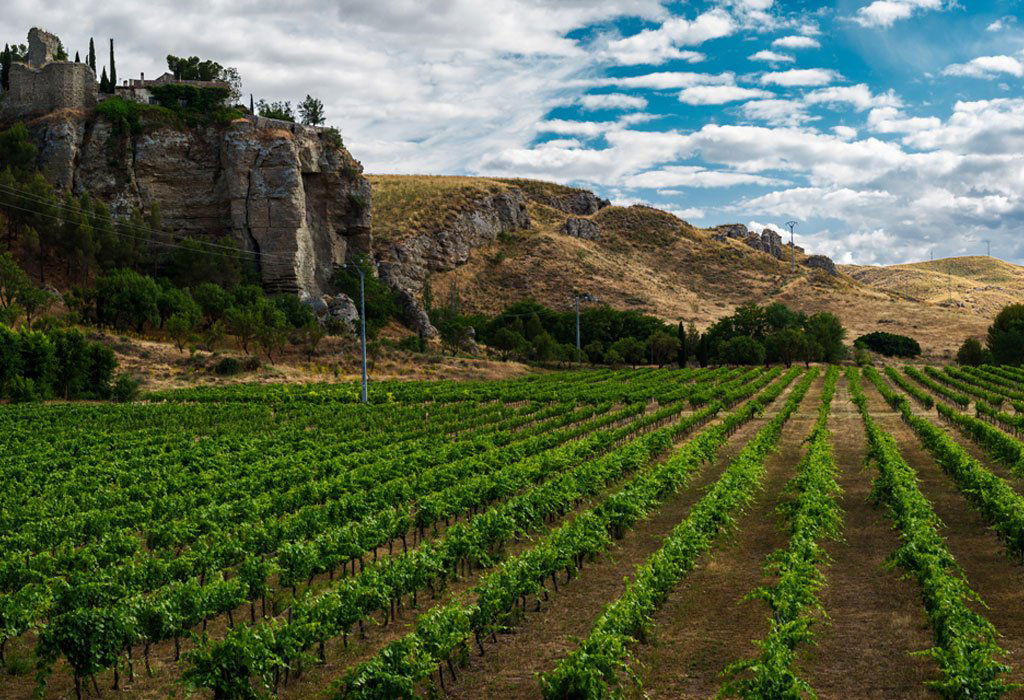 Bodegas Licinia, Winery in Morata De Tajuna