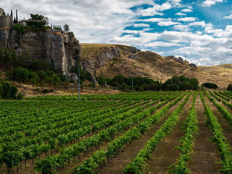 Bodegas Licinia, Morata De Tajuna, Spain