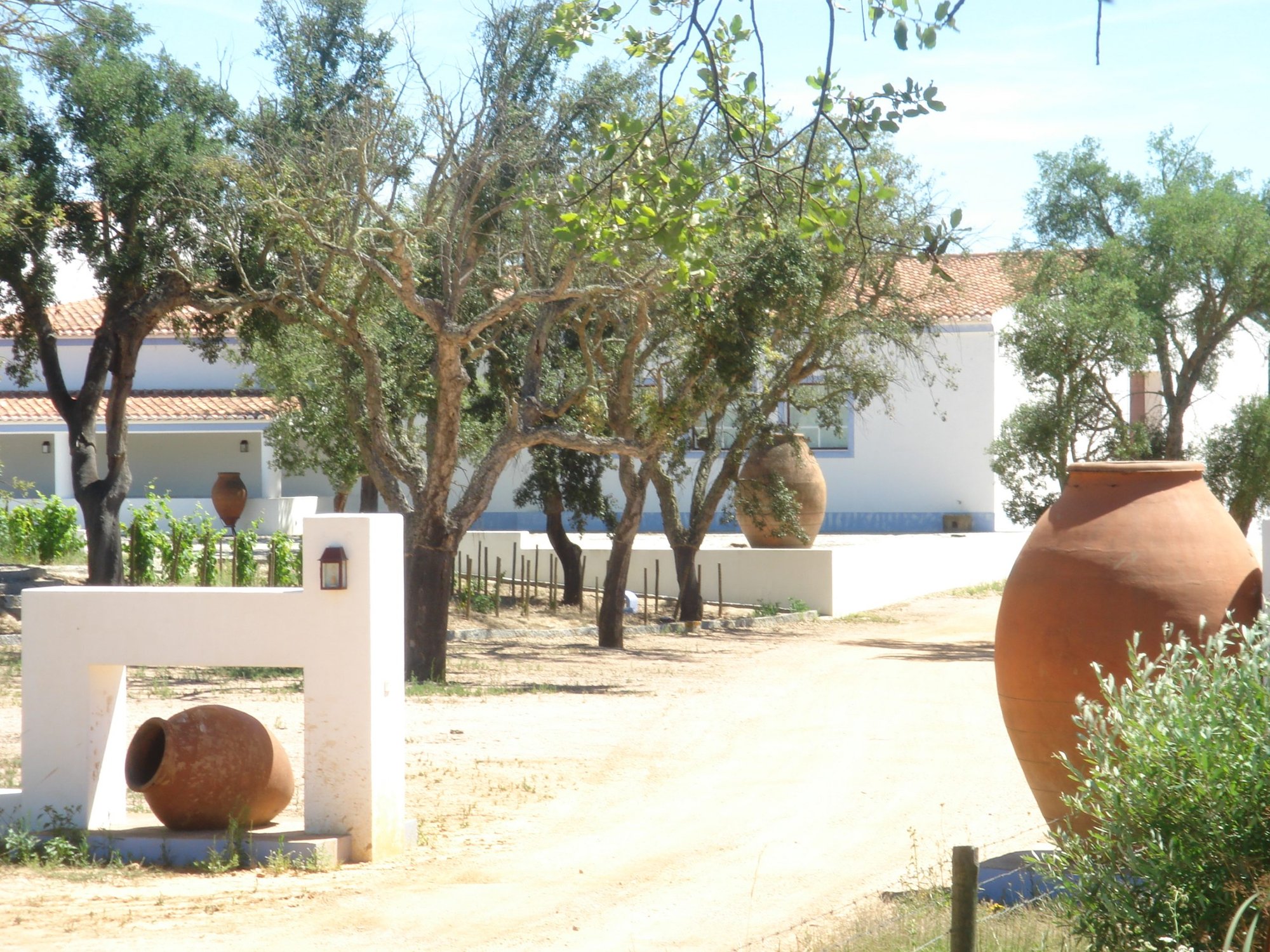 Casa Agricola Alexandre Relvas
