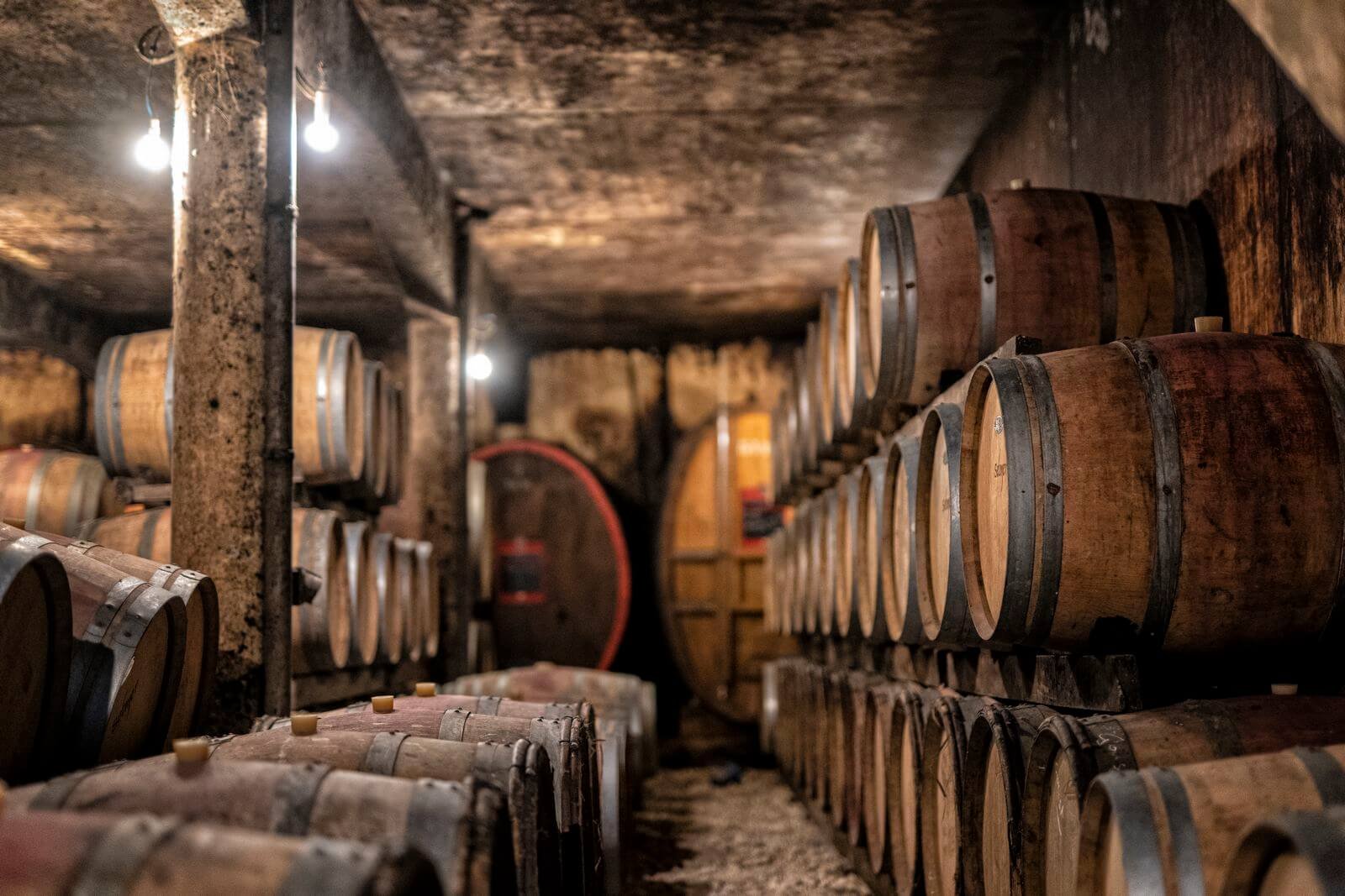Cave du Marmandais, Winery in Cocumont