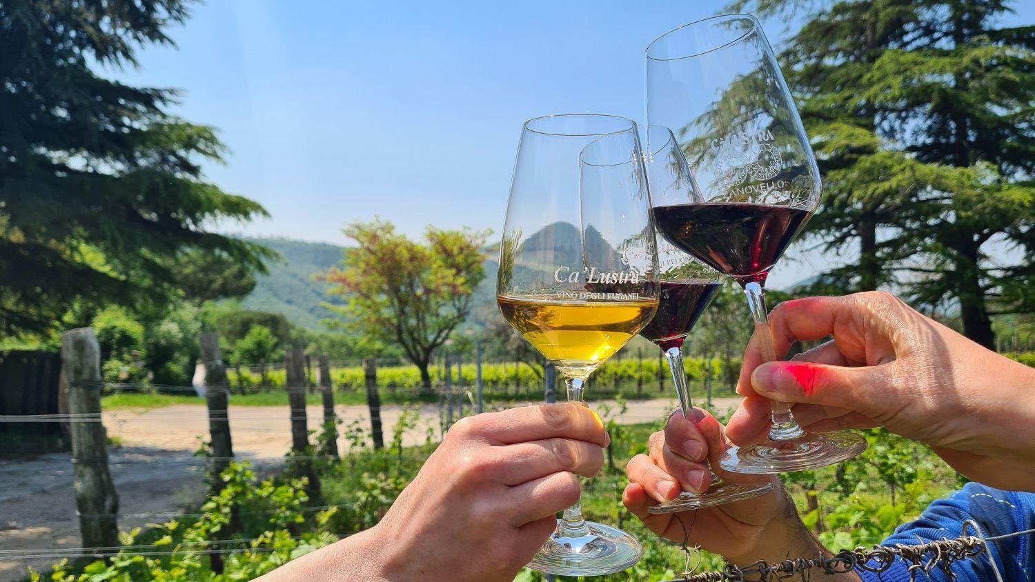 Ca' Lustra, Winery in Cinto Euganeo