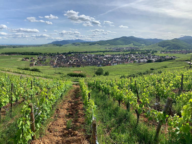 Domaine Marcel Deiss, Bergheim, France