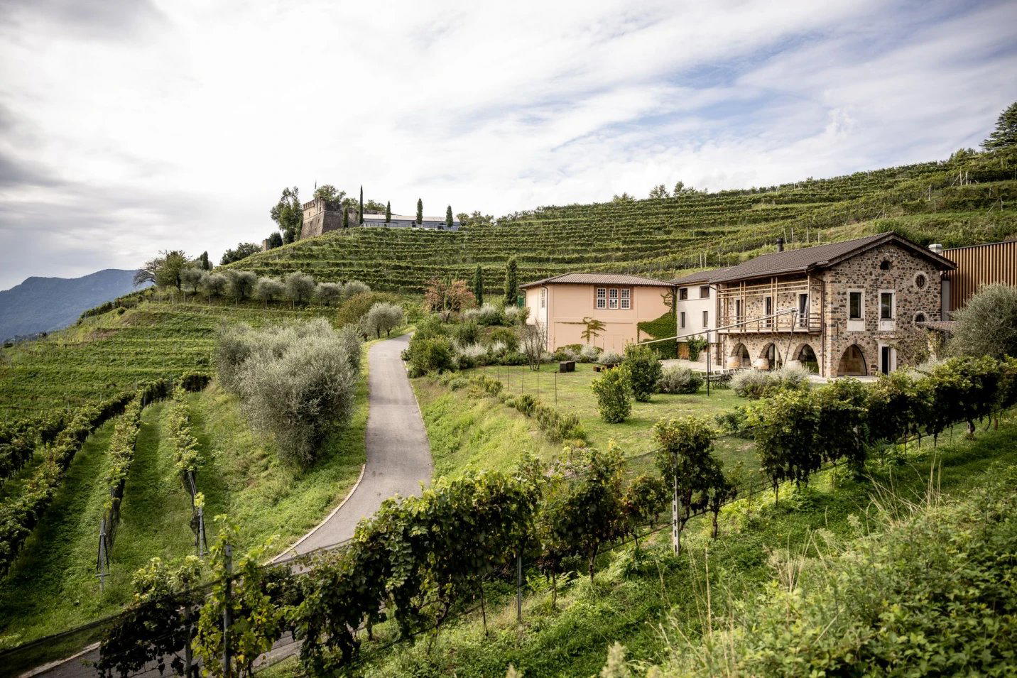 Tenuta Castello di Morcote winery in Vico Morcote