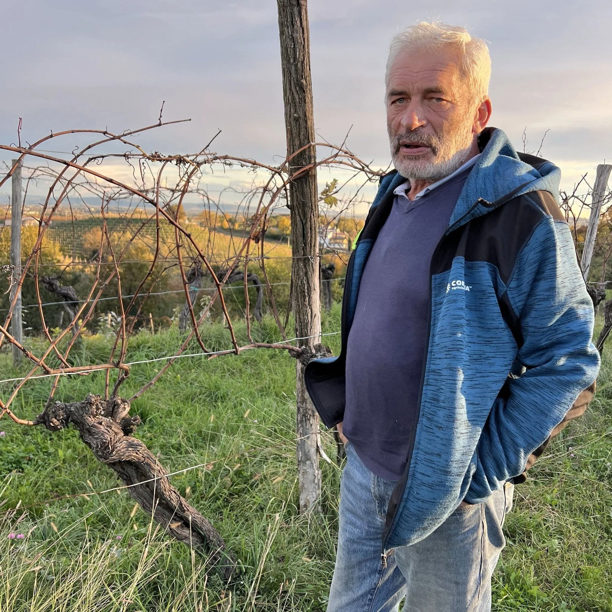 Azienda Agricola Miani, Winery in Buttrio