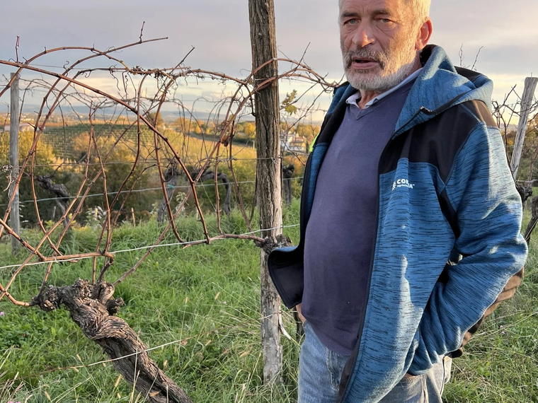 Azienda Agricola Miani, Buttrio, Italy