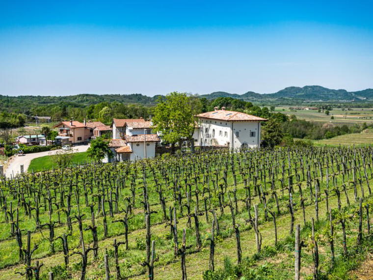 Gradis'ciutta, San Floriano Del Collio, Italy