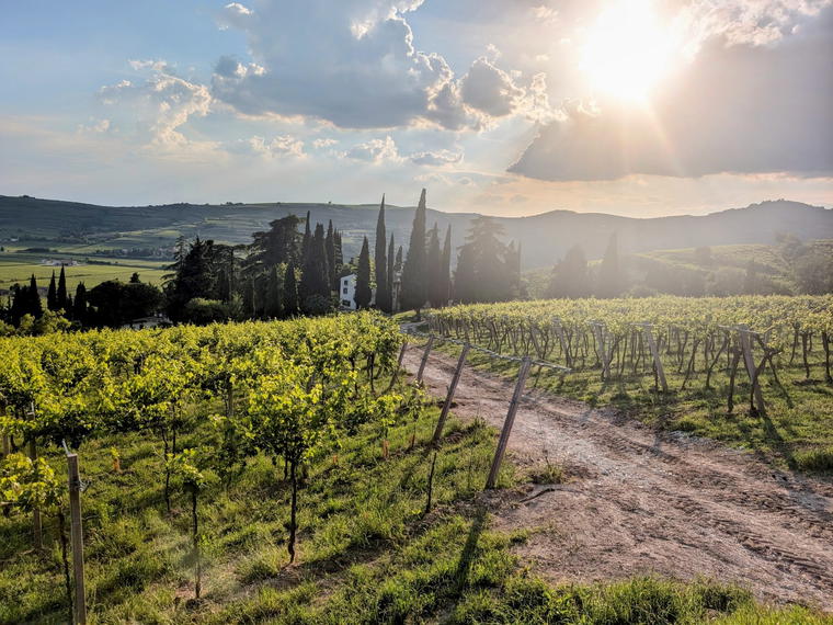 Azienda Agricola Roccolo Grassi, Mezzane Di Sotto, Italy